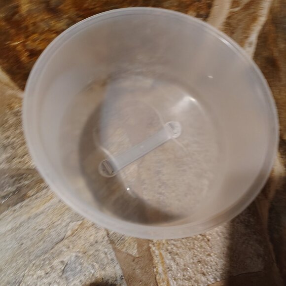 Sterilite Cake Server Storage Container and Carrier with Locking Lid - Picture 6 of 7